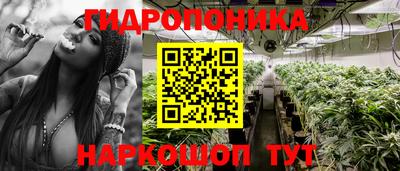 стаф Моздок