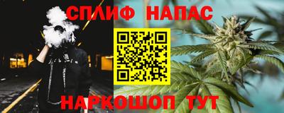 стаф Моздок