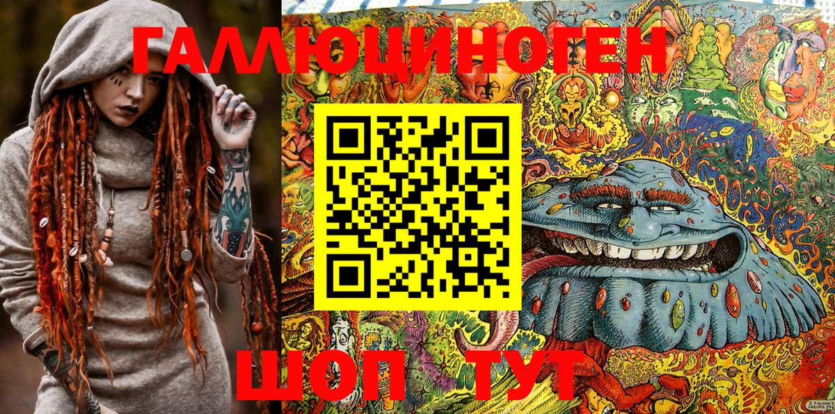 Галлюциногенные грибы Psilocybe Феодосия